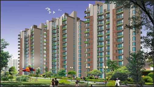 Shilas Independent Floors